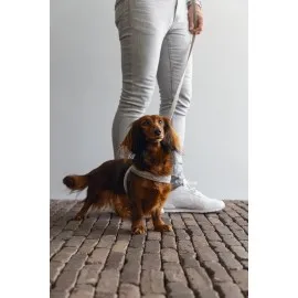 Beeztees Dbl Köpek Göğüs Tasması, Velur, Gri, S, 20Mm X 52Cm