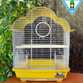 Kafes Renkli 43X28X34,5