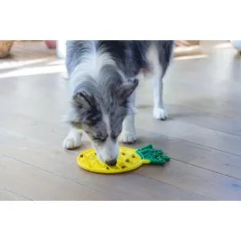 Beeztees Yavru Köpek Yaş Mama Yeme Oyuncağı, Ananas Şeklinde,silikon, Sarı, 20X20Cm
