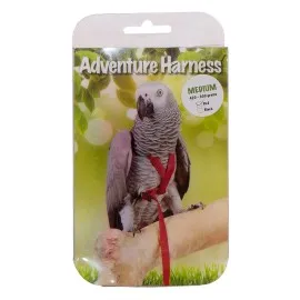 Eastland Kuş Göğüs Tasma M 11X32X130Cm