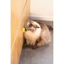 Beeztees Kedi Oyuncağı, Kediotu Topları, 3 Adet, 5X5X4Cm