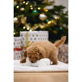 Beeztees Yavru Köpek Oyuncağı, Sesli, Kemik, Peluş, Beyaz, 21X10,5X5Cm