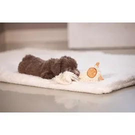 Beeztees Yavru Köpek Oyuncağı, Peluş, Beyaz, 37X28X4Cm