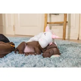 Beeztees Yavru Köpek Oyuncağı, Unicorn, Peluş, Beyaz, 49X10X14Cm
