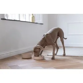 Beeztees Dbl Köpek Yavaş Besleme Mama Kabı, Bambu, Bej, 21Cm, 1430Ml