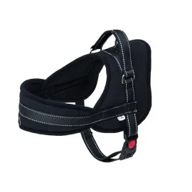 Eastland Çekmeyi Önleyici Reflektörlü Köpek Göğüs Tasma 2,5X60-75 Cm