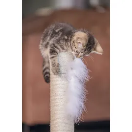 Beeztees Kedi Tırmalama ve Oyuncağı, Gri, 35x35x53cm