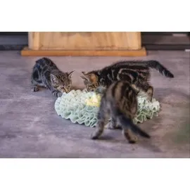 Beeztees Yavru Kedi Oyuncağı, Ödül Saklama, 38X38X3Cm