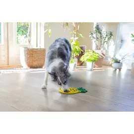 Beeztees Yavru Köpek Yaş Mama Yeme Oyuncağı, Ananas Şeklinde,silikon, Sarı, 20X20Cm
