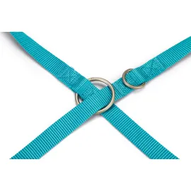 Beeztees Köpek Gezdirme Kayışı, Turkuaz, 200Cm, 20Mm