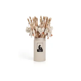 Beeztees DBL Kedi Oltası, Kalpli, Çeşitli Renklerde, 50cm