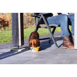 Beeztees Köpek Mama Ve Su Kabı, Teleskopik, Turuncu, Silikon, 15,5Cm, 750Ml