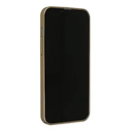Newface Iphone 14 Pro Kılıf Jack Magneticsafe Lens Silikon - Gold