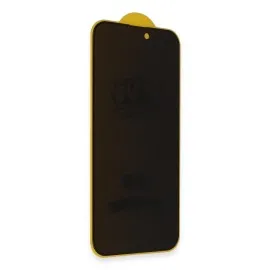 Newface Samsung Galaxy S24 Bilvis 3D Hayalet Cam Ekran Koruyucu