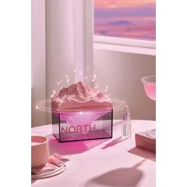 Newface Z4 Kuzey Okyanus Temalı Gece Lambası Özellikli Bt Kablosuz Hoparlör - Pembe