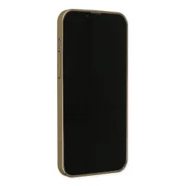 Newface Iphone 14 Pro Max Kılıf Jack Magneticsafe Lens Silikon - Gold