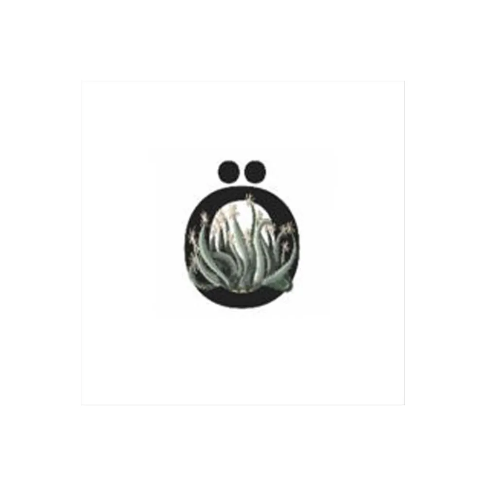 Harf Figürlü Kaktüs Sukulent Saksısı-Ö