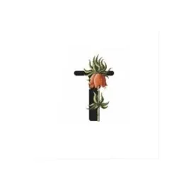 Harf Figürlü Kaktüs Sukulent Saksısı-T