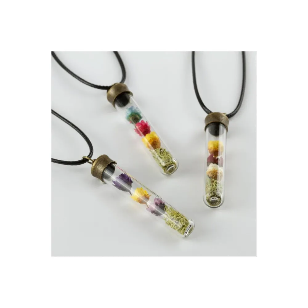 Fanus Canlı Kolye-Renkli