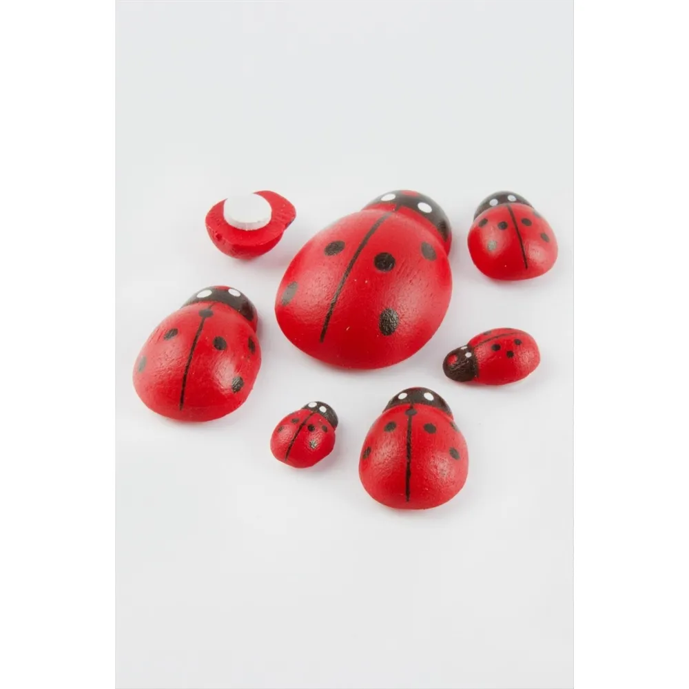 Uğur Böceği Set 6 Adet-Kırmızı