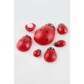 Uğur Böceği Set 6 Adet-Kırmızı