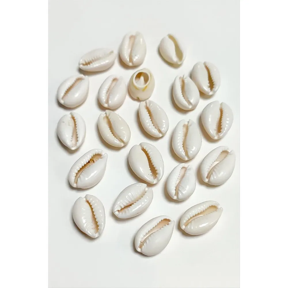 10 Adet Orjinal İstiridye Aparatı Orta-Krem