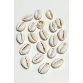 10 Adet Orjinal İstiridye Aparatı Orta-Krem