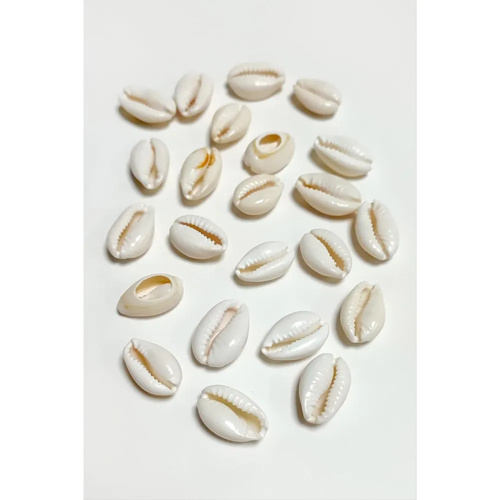 10 Adet Orjinal İstiridye Aparatı Küçük-Beyaz