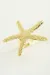Deniz Yıldızı Metal Yüzük-Sarı