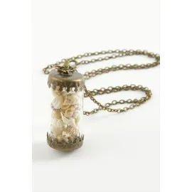 Deniz Kabuğu Fanus Canlı Kolye-Antik