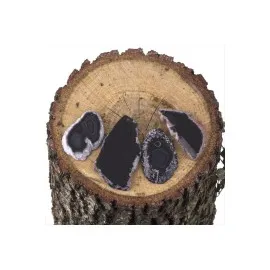 Plaka Akik Kolye Ucu-Parlak Siyah