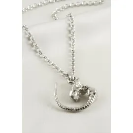 Canavar Erkek Kolye-Gümüş Rengi