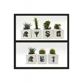 Harf Figürlü Kaktüs Sukulent Saksısı-C