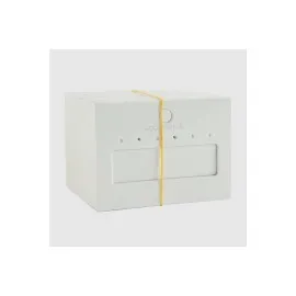 6 Delikli Küpe Kartı 100 Adet-Beyaz