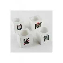 Harf Figürlü Kaktüs Sukulent Saksısı-C