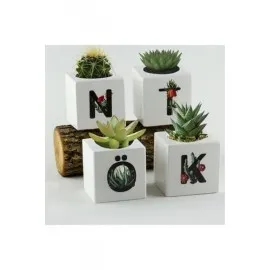 Harf Figürlü Kaktüs Sukulent Saksısı-C