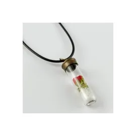 Gül Fanus Canlı Kolye-Siyah