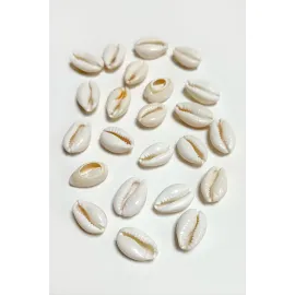 10 Adet Orjinal İstiridye Aparatı Küçük-Beyaz