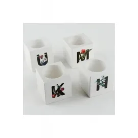 Harf Figürlü Kaktüs Sukulent Saksısı-C