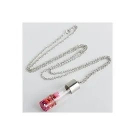 Fanus Canlı Kolye-Renkli