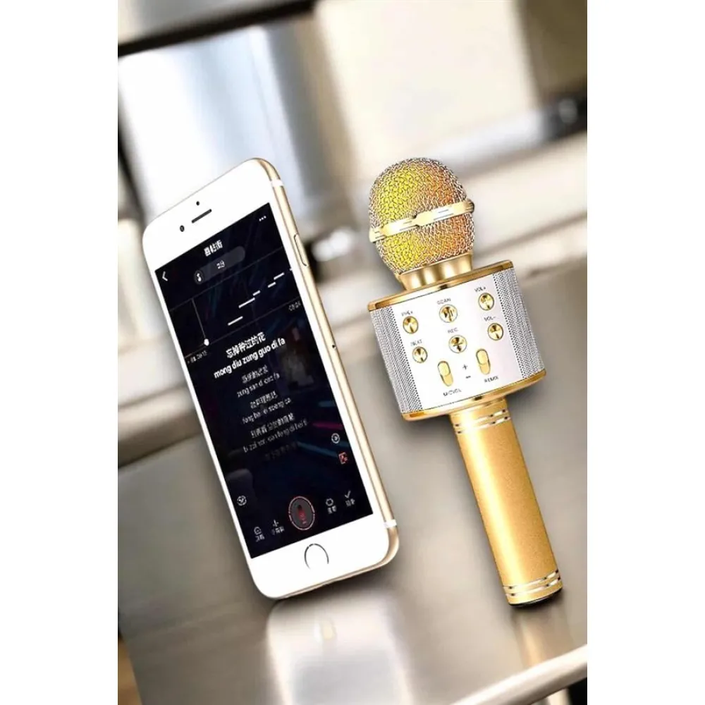 Şarjlı ve Uzun Pil Ömürlü Karaoke Mikrofon USB Bellek Destekli, Profesyonel Ses