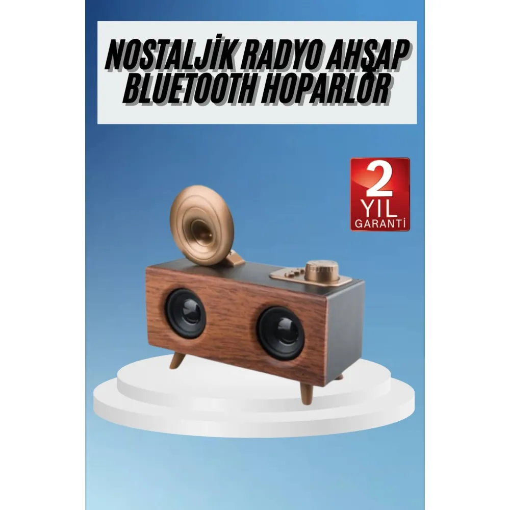 Gramafon Radyo Bluetooth Hoparlör Nostaljik Radyo FM Radyo