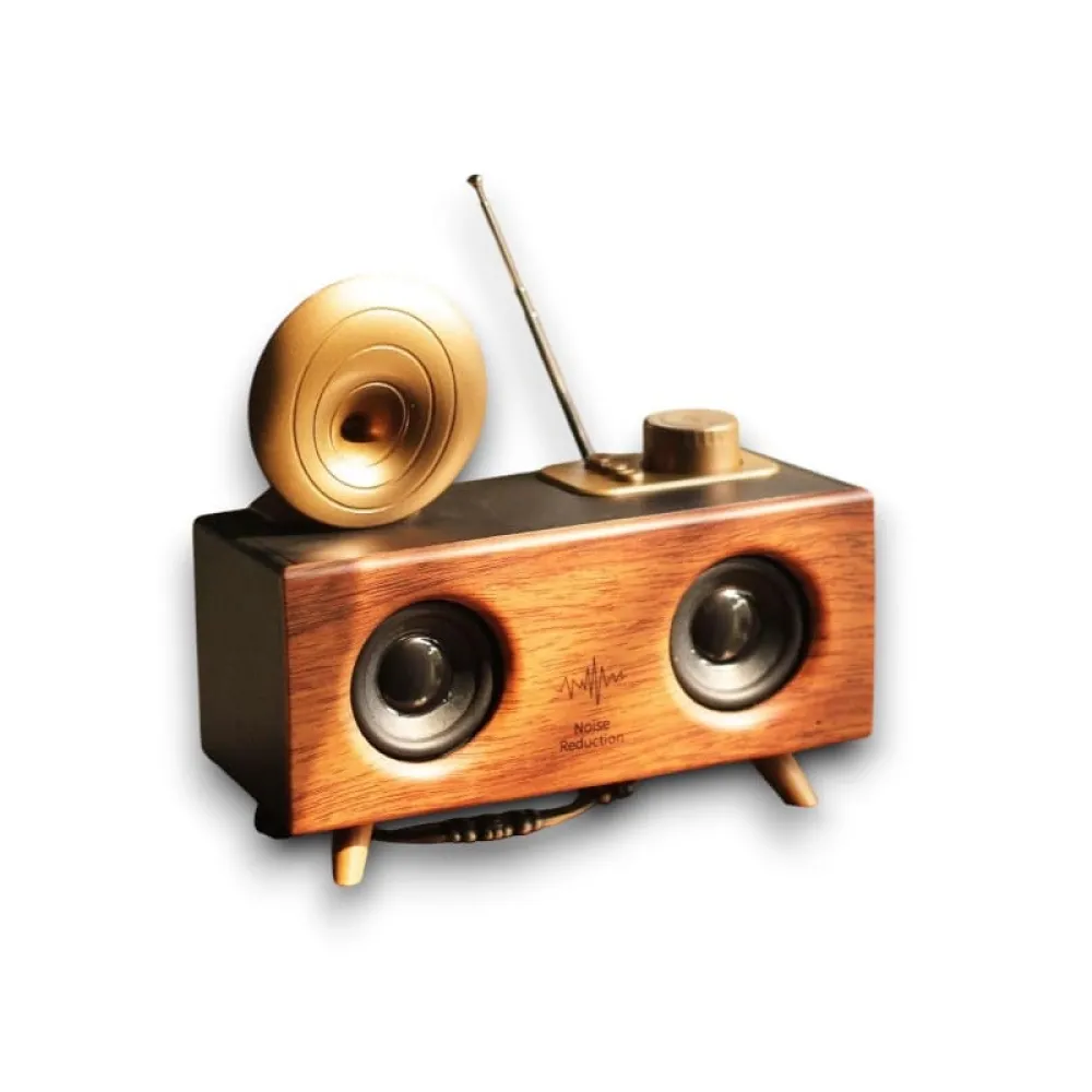 B6 SPEAKER HOPARLÖR