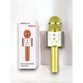 Kareoke  Mikrofon