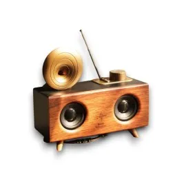 B6 Speaker Hoparlör