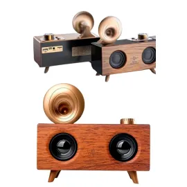 Gramafon Radyo Bluetooth Hoparlör Nostaljik Radyo FM Radyo