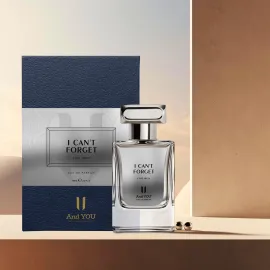 And You I Can t Forget 65 ml Erkek Parfüm