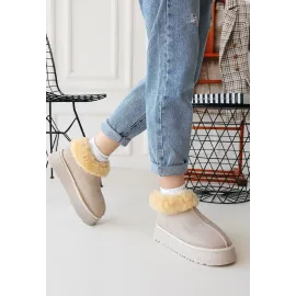 Edali Bej Süet Bot (Numara: 37)