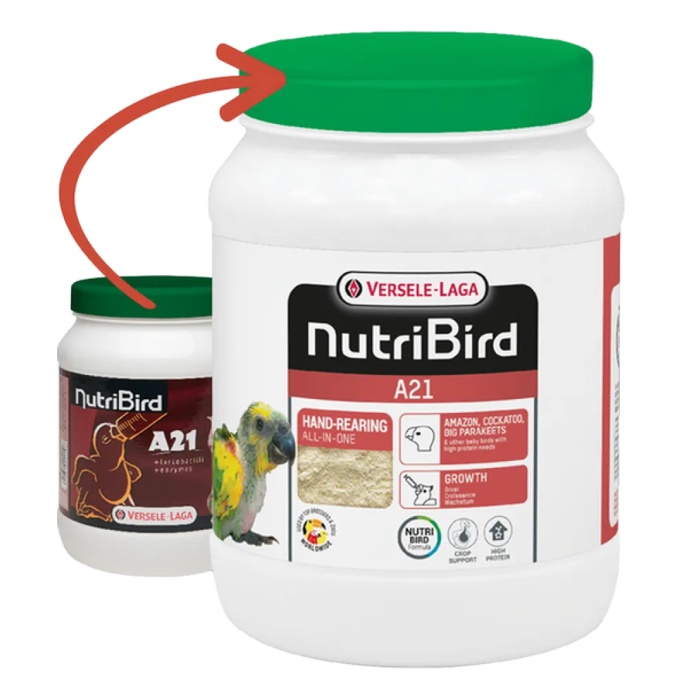 Versele Laga Nutrıbırd A21 Elle Yetiştirme Maması 800g