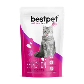 Bestpet 1 kg X 10 ADET Yetişkin Seçici Kediler İçin Tavuk Etli Kuru Mama  